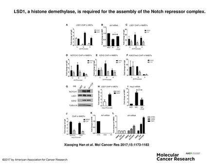 LSD1, a histone demethylase, is required for the assembly of the Notch repressor complex. LSD1, a histone demethylase, is required for the assembly of.