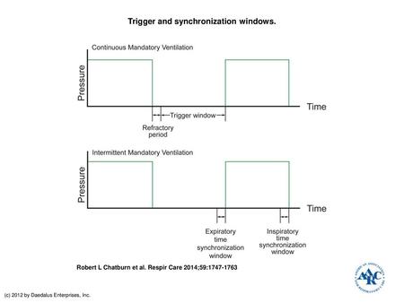 Trigger and synchronization windows.