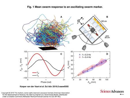 Fig. 1 Mean swarm response to an oscillating swarm marker.