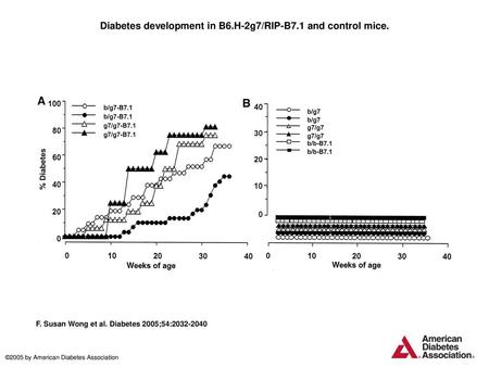 Diabetes development in B6.H-2g7/RIP-B7.1 and control mice.