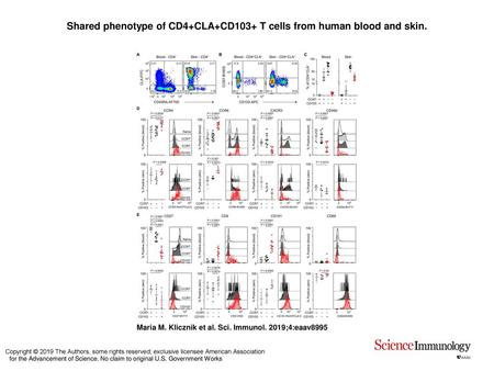 Shared phenotype of CD4+CLA+CD103+ T cells from human blood and skin.