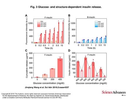 Fig. 3 Glucose- and structure-dependent insulin release.