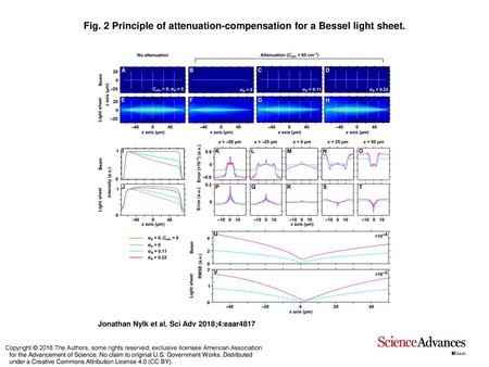 Fig. 2 Principle of attenuation-compensation for a Bessel light sheet.