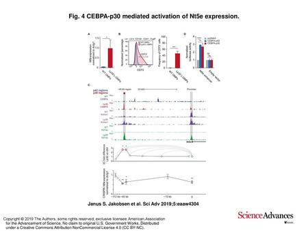 Fig. 4 CEBPA-p30 mediated activation of Nt5e expression.