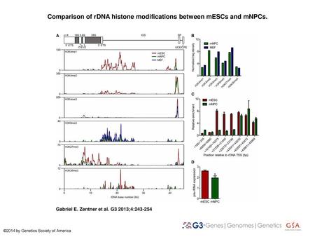 Comparison of rDNA histone modifications between mESCs and mNPCs.