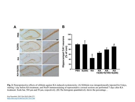 Fig. 3. Neuroprotective effects of silibinin against KA-induced excitotoxicity. (A) Silibinin was intraperitoneally injected for 8 days, starting 1 day.