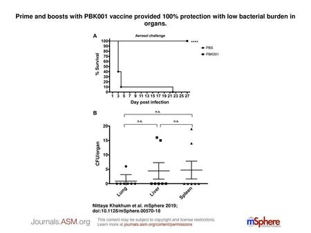 Prime and boosts with PBK001 vaccine provided 100% protection with low bacterial burden in organs. Prime and boosts with PBK001 vaccine provided 100% protection.