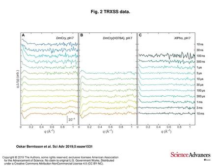 Fig. 2 TRXSS data. TRXSS data. TRXSS data covering delay times from 10 ns to 10 ms for wild-type DmCry (A), for the DmCry(H378A) mutant (B), and for XlPho.