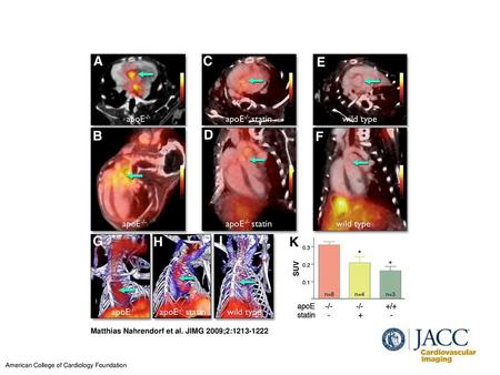 Matthias Nahrendorf et al. JIMG 2009;2: