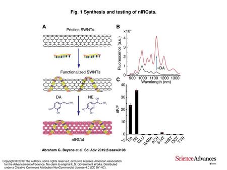 Fig. 1 Synthesis and testing of nIRCats.