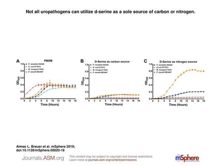 Not all uropathogens can utilize d-serine as a sole source of carbon or nitrogen. Not all uropathogens can utilize d-serine as a sole source of carbon.