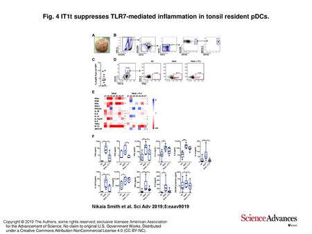 IT1t suppresses TLR7-mediated inflammation in tonsil resident pDCs