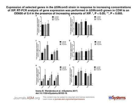 Expression of selected genes in the ΔSMcomS strain in response to increasing concentrations of XIP. RT-PCR analysis of gene expression was performed in.