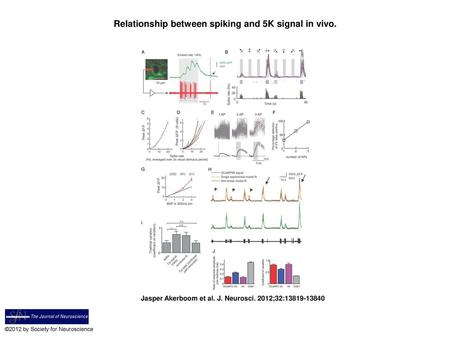 Relationship between spiking and 5K signal in vivo.