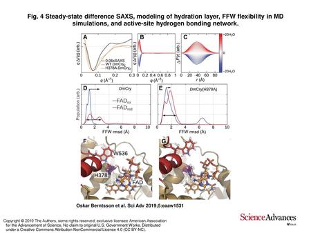 Fig. 4 Steady-state difference SAXS, modeling of hydration layer, FFW flexibility in MD simulations, and active-site hydrogen bonding network. Steady-state.