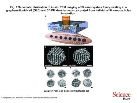 Fig. 1 Schematic illustration of in situ TEM imaging of Pt nanocrystals freely rotating in a graphene liquid cell (GLC) and 3D EM density maps calculated.