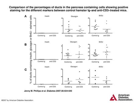 Comparison of the percentages of ducts in the pancreas containing cells showing positive staining for the different markers between control hamster Ig–and.