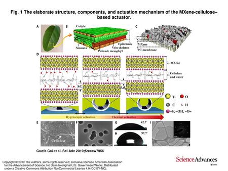 Fig. 1 The elaborate structure, components, and actuation mechanism of the MXene-cellulose–based actuator. The elaborate structure, components, and actuation.