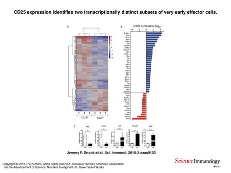 CD25 expression identifies two transcriptionally distinct subsets of very early effector cells. CD25 expression identifies two transcriptionally distinct.