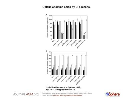 Uptake of amino acids by C. albicans.