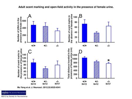 Adult scent marking and open-field activity in the presence of female urine. Adult scent marking and open-field activity in the presence of female urine.