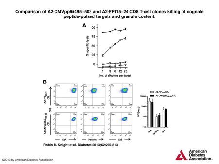 Comparison of A2-CMVpp65495–503 and A2-PPI15–24 CD8 T-cell clones killing of cognate peptide-pulsed targets and granule content. Comparison of A2-CMVpp65495–503.