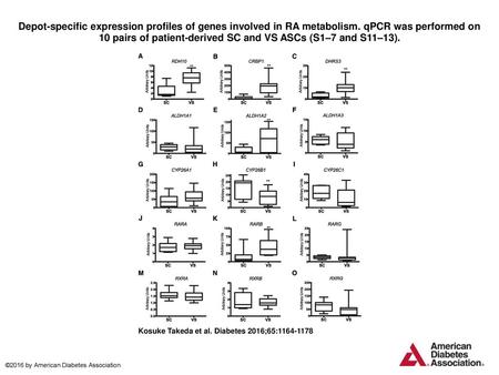 Depot-specific expression profiles of genes involved in RA metabolism