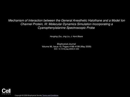 Mechanism of Interaction between the General Anesthetic Halothane and a Model Ion Channel Protein, III: Molecular Dynamics Simulation Incorporating a.