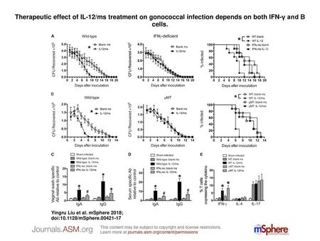 Therapeutic effect of IL-12/ms treatment on gonococcal infection depends on both IFN-γ and B cells. Therapeutic effect of IL-12/ms treatment on gonococcal.