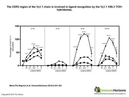 The CDR3 region of the Vγ1.1 chain is involved in ligand recognition by the Vγ1.1 Vδ6.3 TCR+ hybridomas. The CDR3 region of the Vγ1.1 chain is involved.