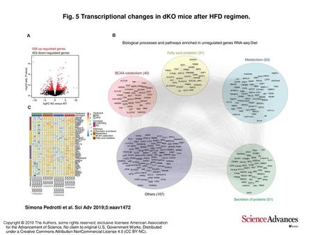 Fig. 5 Transcriptional changes in dKO mice after HFD regimen.