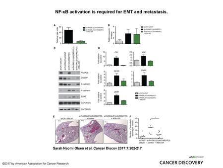 NF-κB activation is required for EMT and metastasis.