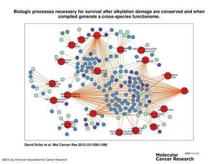 Biologic processes necessary for survival after alkylation damage are conserved and when compiled generate a cross-species functionome. Biologic processes.