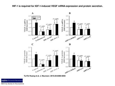 HIF-1 is required for IGF-1-induced VEGF mRNA expression and protein secretion. HIF-1 is required for IGF-1-induced VEGF mRNA expression and protein secretion.