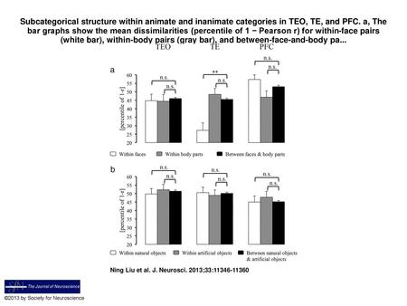 Subcategorical structure within animate and inanimate categories in TEO, TE, and PFC. a, The bar graphs show the mean dissimilarities (percentile of 1.