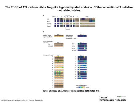 The TSDR of ATL cells exhibits Treg-like hypomethylated status or CD4+ conventional T cell–like methylated status. The TSDR of ATL cells exhibits Treg-like.