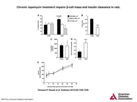 Chronic rapamycin treatment impairs β-cell mass and insulin clearance in rats. Chronic rapamycin treatment impairs β-cell mass and insulin clearance in.