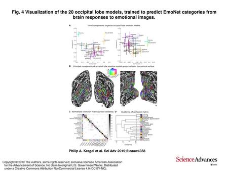 Fig. 4 Visualization of the 20 occipital lobe models, trained to predict EmoNet categories from brain responses to emotional images. Visualization of the.