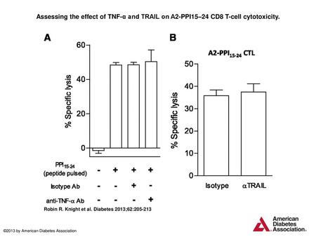 Assessing the effect of TNF-α and TRAIL on A2-PPI15–24 CD8 T-cell cytotoxicity. Assessing the effect of TNF-α and TRAIL on A2-PPI15–24 CD8 T-cell cytotoxicity.