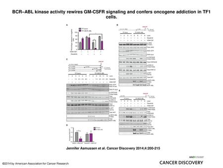 BCR–ABL kinase activity rewires GM-CSFR signaling and confers oncogene addiction in TF1 cells. BCR–ABL kinase activity rewires GM-CSFR signaling and confers.