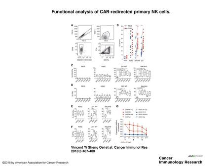 Functional analysis of CAR-redirected primary NK cells.