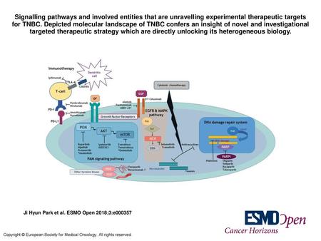 Signalling pathways and involved entities that are unravelling experimental therapeutic targets for TNBC. Depicted molecular landscape of TNBC confers.