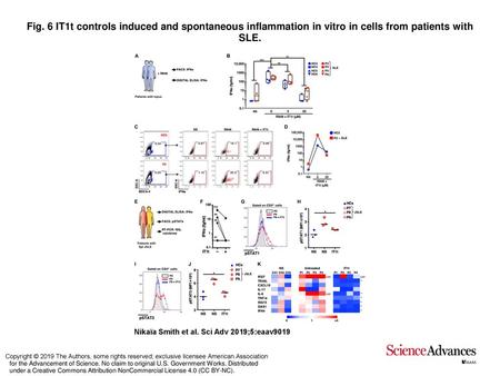 Fig. 6 IT1t controls induced and spontaneous inflammation in vitro in cells from patients with SLE. IT1t controls induced and spontaneous inflammation.