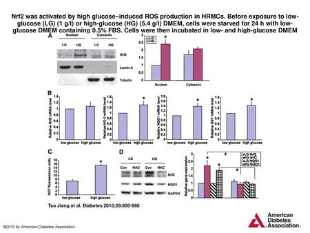 Nrf2 was activated by high glucose–induced ROS production in HRMCs