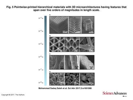 Fig. 5 Pointwise-printed hierarchical materials with 3D microarchitectures having features that span over five orders of magnitudes in length scale. Pointwise-printed.