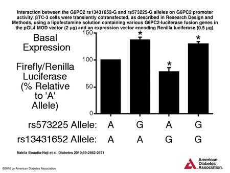 Interaction between the G6PC2 rs13431652-G and rs573225-G alleles on G6PC2 promoter activity. βTC-3 cells were transiently cotransfected, as described.