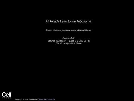 All Roads Lead to the Ribosome