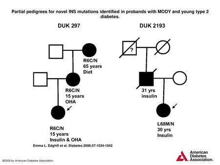 Partial pedigrees for novel INS mutations identified in probands with MODY and young type 2 diabetes. Partial pedigrees for novel INS mutations identified.