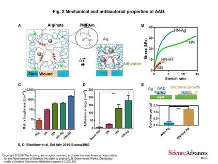 Fig. 2 Mechanical and antibacterial properties of AAD.