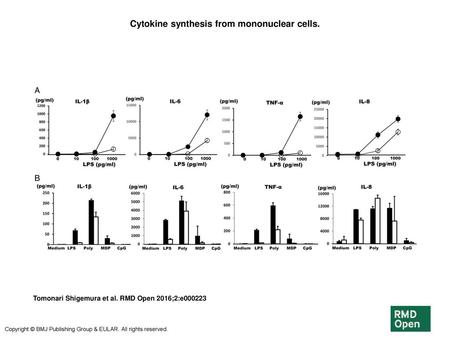 Cytokine synthesis from mononuclear cells.